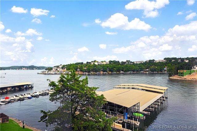 dock area featuring a water view