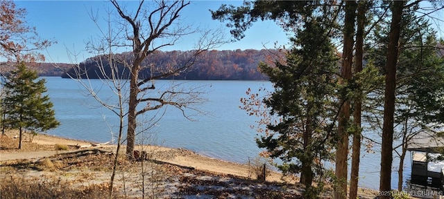 Listing photo 3 for LOT1 Marina Rd, Stover MO 65078