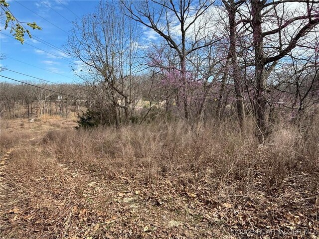 TBD Highway W, Lake Ozark, MO 65049