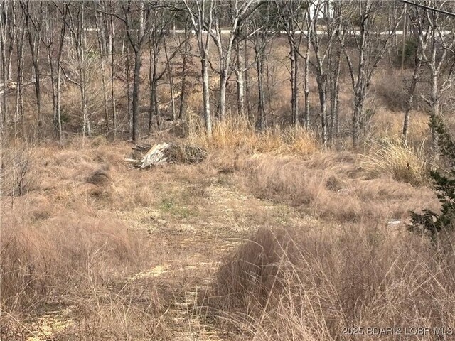 TBD Highway W, Lake Ozark, MO 65049