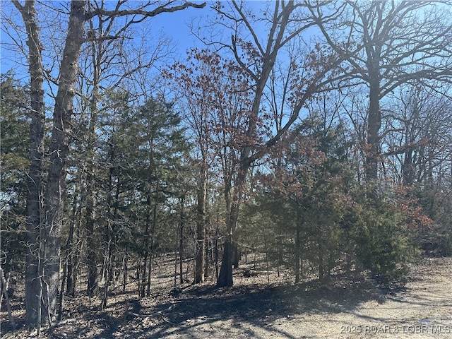 Listing photo 2 for LOT453 Linn Creek Rd, Four Seasons MO 65049