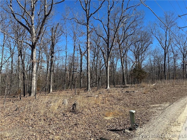 Listing photo 2 for LOT1047 Bittersweet Rd, Four Seasons MO 65049