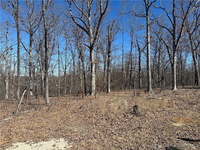 LOT1047 Bittersweet Rd, Four Seasons, MO 65049