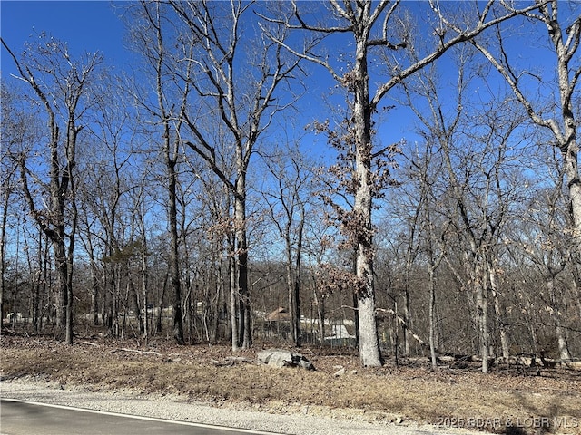 Listing photo 3 for LOT946 Nassau Cir, Four Seasons MO 65049