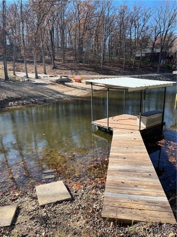 dock area featuring a water view