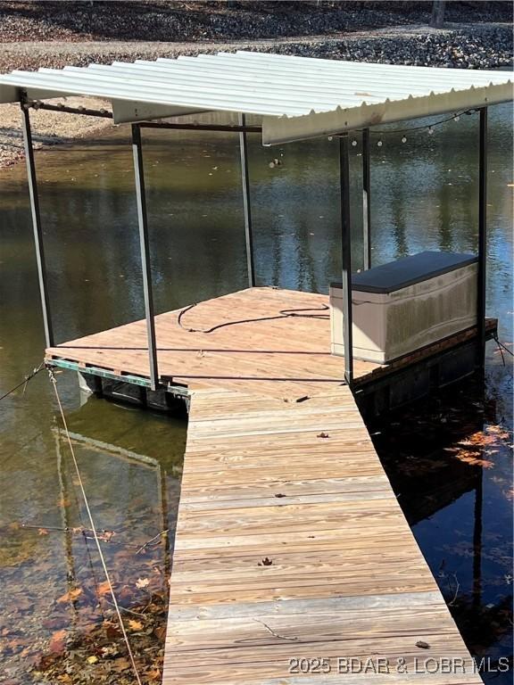 dock area with a water view