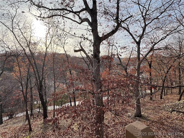 view of landscape