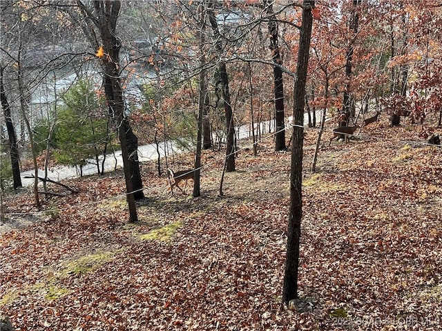 view of landscape featuring a forest view