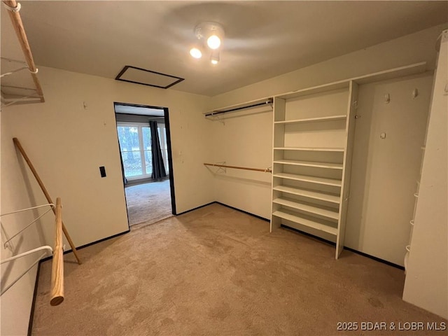 spacious closet with carpet floors