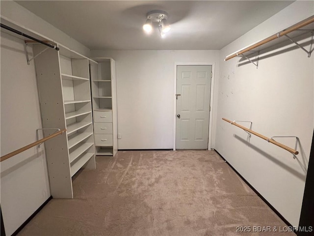 walk in closet featuring carpet