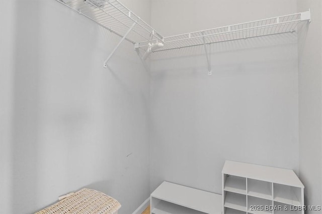 view of walk in closet