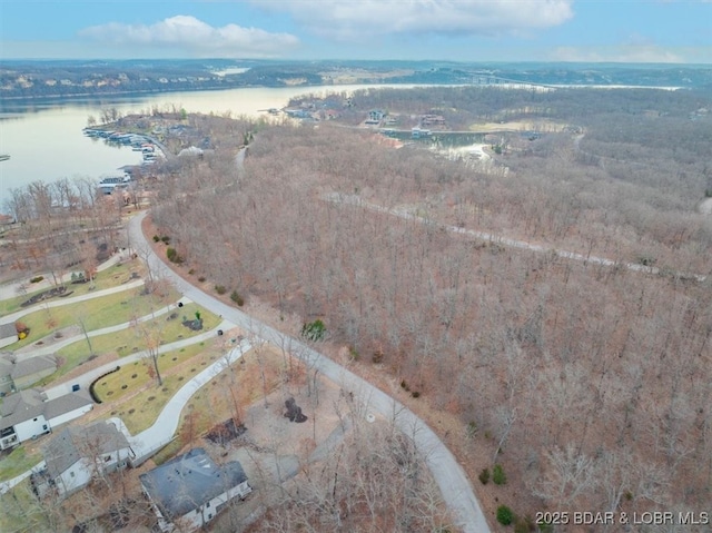 817 Muirfield Dr, Porto Cima, MO 65079 - photo 11