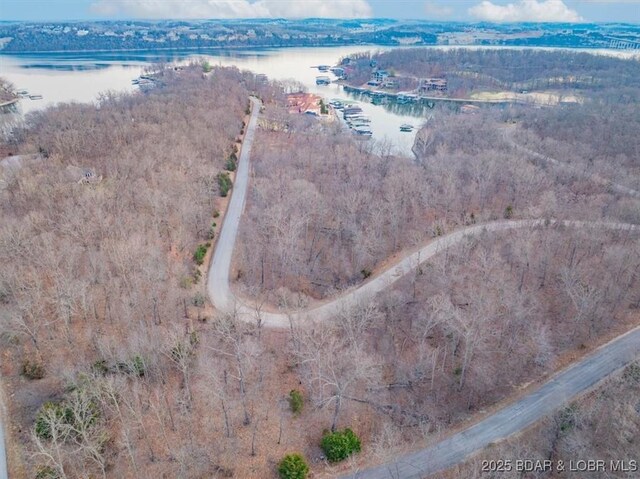 788 Muirfield Dr, Porto Cima, MO 65079 - photo 2
