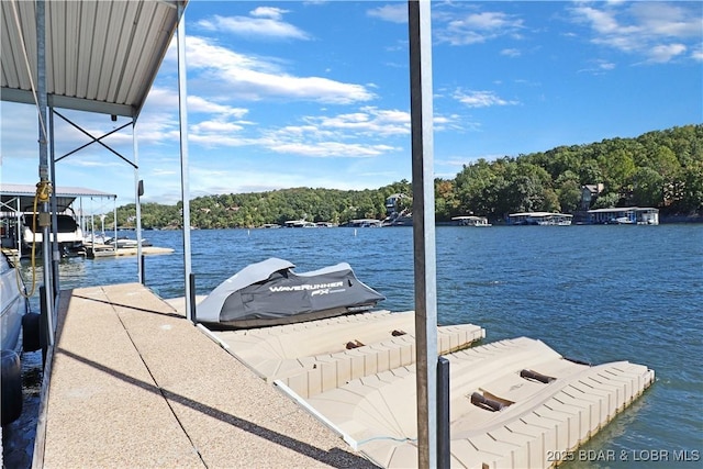 dock area with a water view