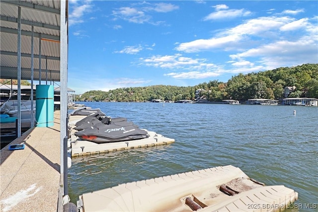 dock area featuring a water view