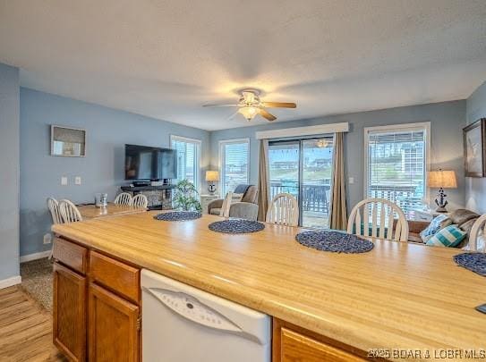 interior space featuring ceiling fan and baseboards