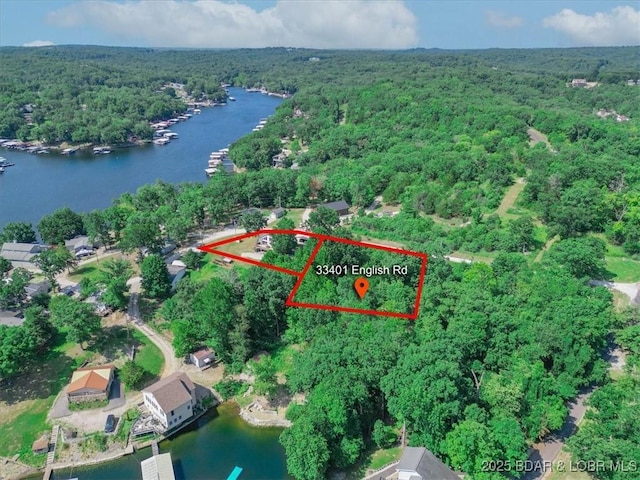 aerial view featuring a water view and a view of trees