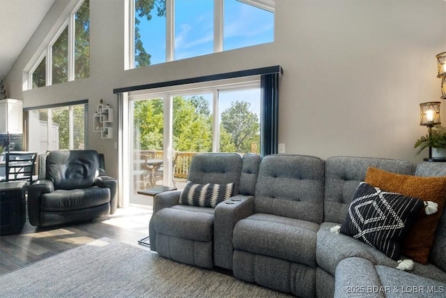 living room featuring a towering ceiling and wood finished floors