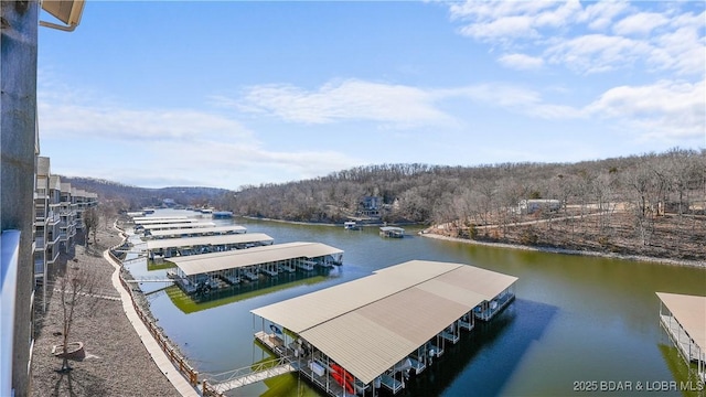 dock area with a water view