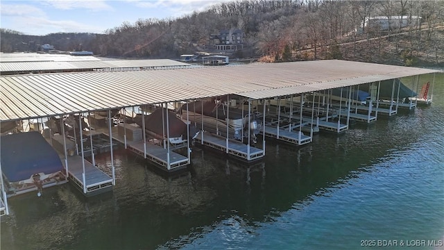 dock area with a water view and boat lift