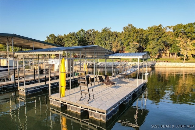 dock area with a water view