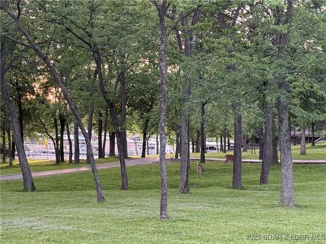 16959 Gentle Slopes Dr, Gravois Mills, MO 65037 - view of property's community with a lawn