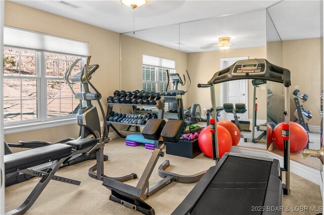 260 Greystone Ln, Villages, MO 65079 - interior space with carpet flooring and visible vents