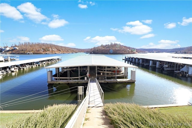 view of dock with a water view and boat lift