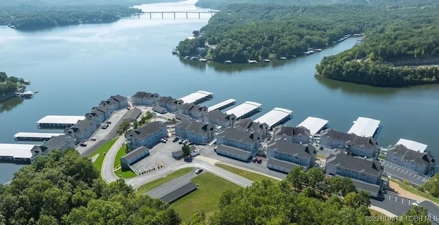 bird's eye view featuring a water view and a residential view