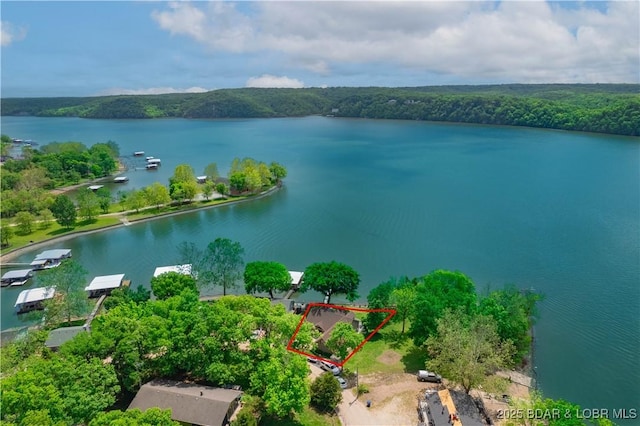 aerial view with a water view