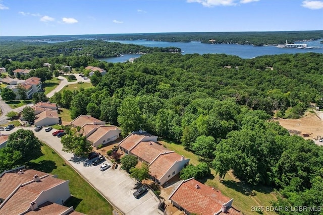 bird's eye view with a water view and a forest view