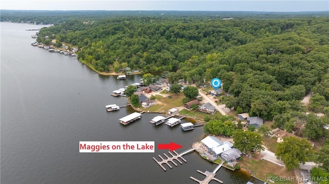 birds eye view of property with a water view and a wooded view