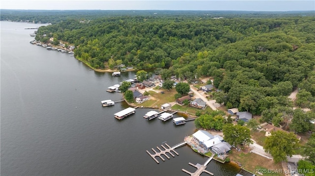 aerial view with a water view and a view of trees