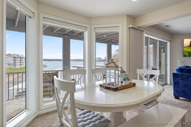 488 Regatta Bay Dr Unit 2C, Lake Ozark, MO 65049 - dining space featuring a water view, light colored carpet, and healthy amount of natural light