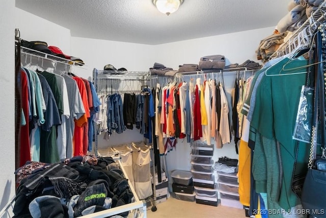 spacious closet with carpet floors