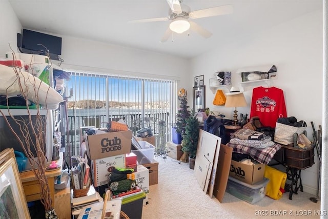 storage area with a ceiling fan