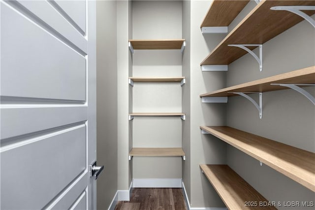 spacious closet featuring dark wood finished floors