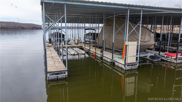 dock area featuring a water view