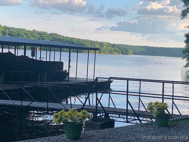 exterior space with a dock and a water view