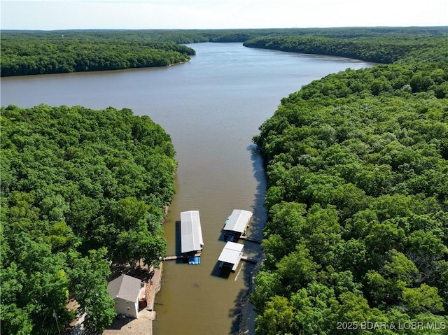 aerial view featuring a water view and a view of trees