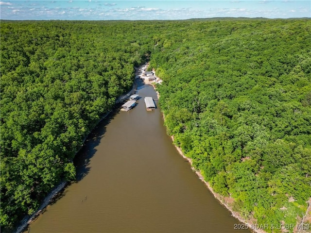 drone / aerial view featuring a water view and a wooded view