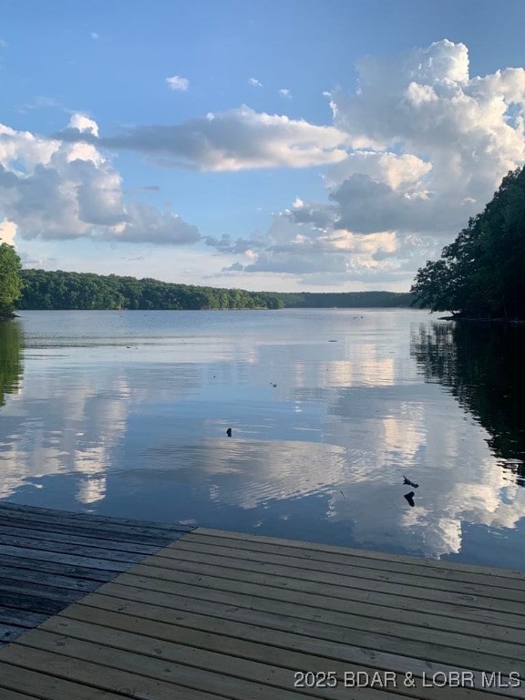 view of dock featuring a water view and a wooded view