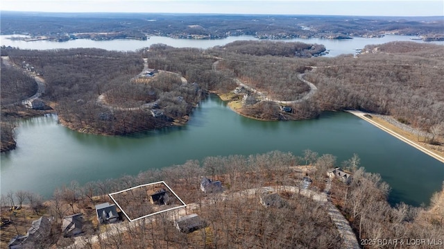 birds eye view of property featuring a water view and a forest view