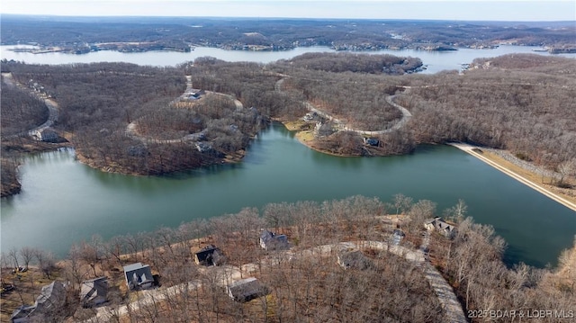 drone / aerial view featuring a water view and a view of trees