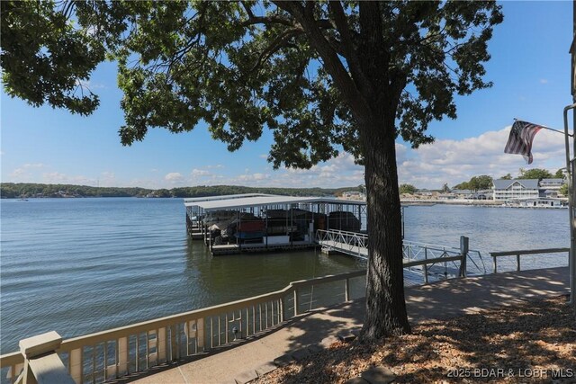 dock area with a water view