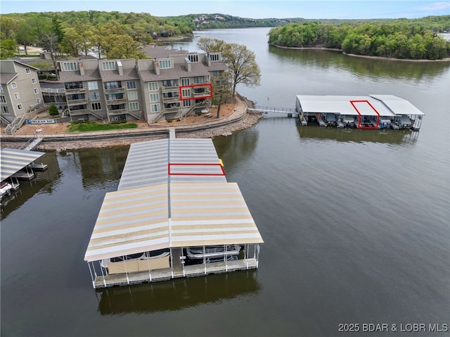 dock area with a water view