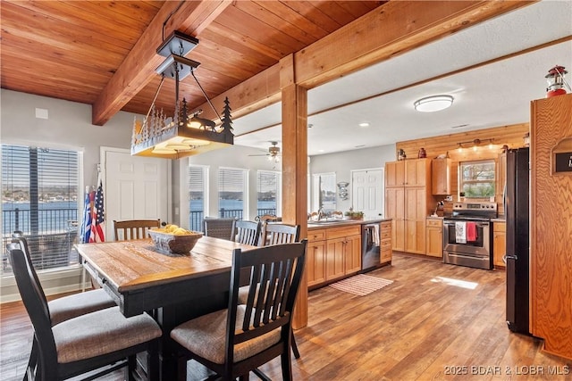 dining room with wood ceiling, light wood-type flooring, beam ceiling, and ceiling fan