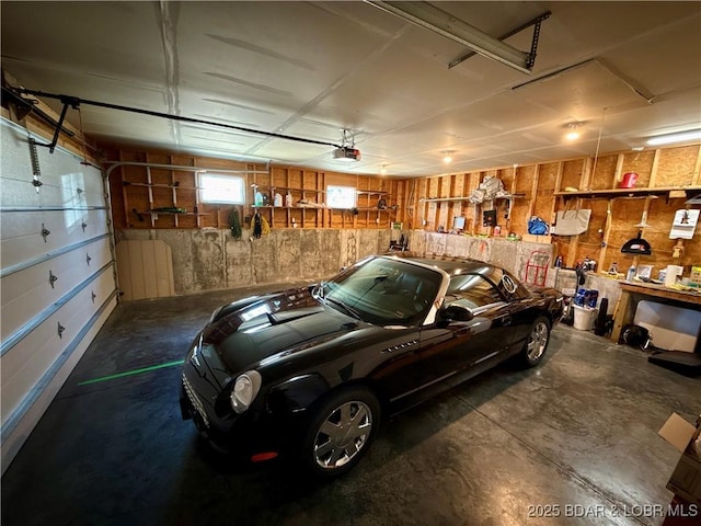 garage with a garage door opener