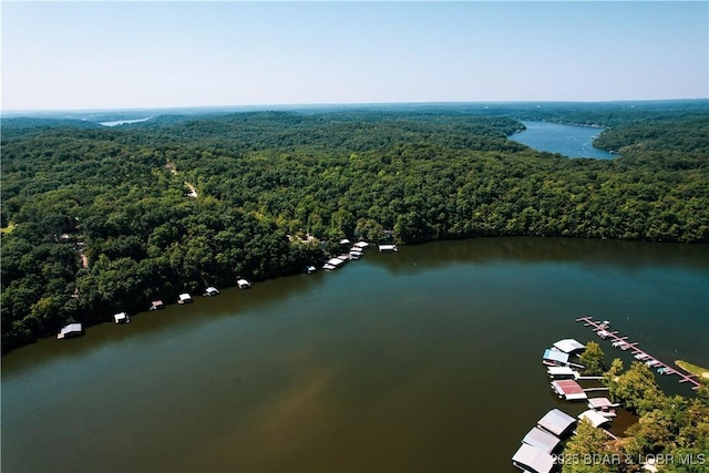 aerial view with a forest view and a water view