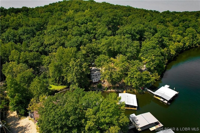 drone / aerial view with a view of trees and a water view